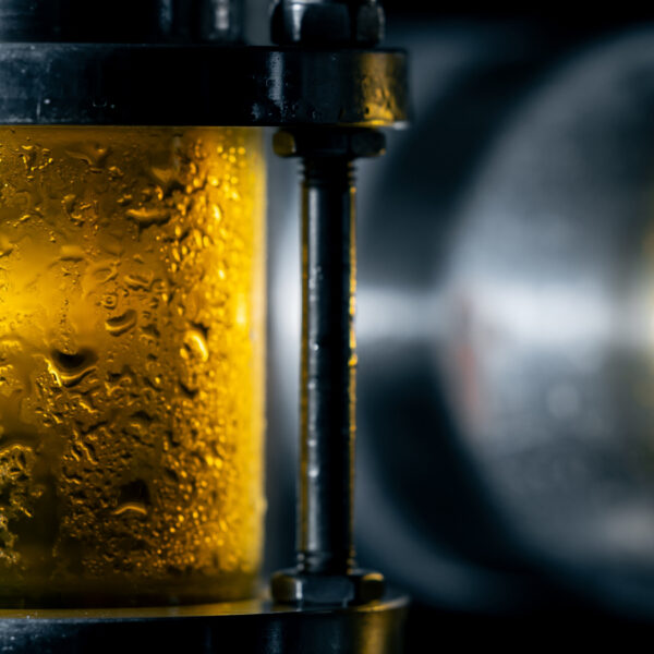 Where Flavor Fits in the Brewing Process