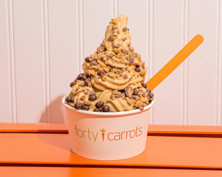 Forty Carrots Froyo exp